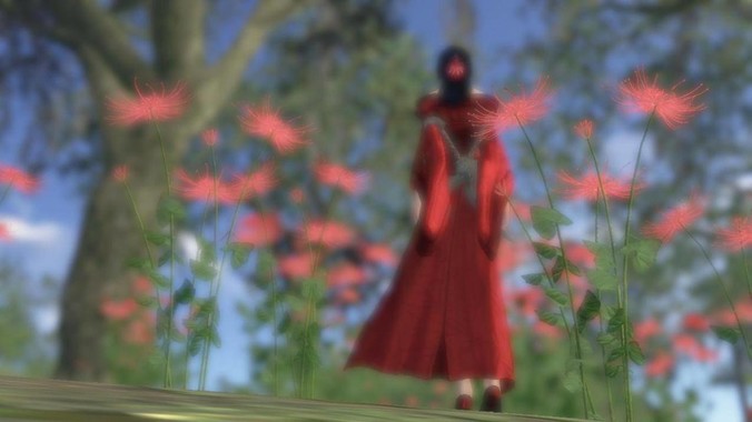 什么水草扔缸里就能活？