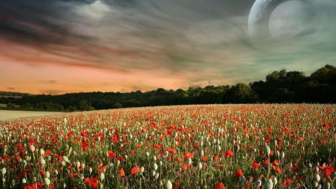 如何评价网红店太二酸菜鱼?